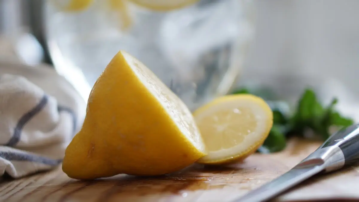 Bästa citruspress